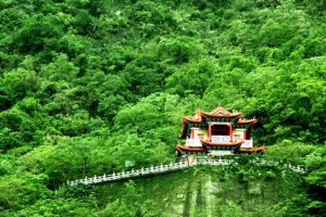 cong-vien-quoc-gia-Toroko